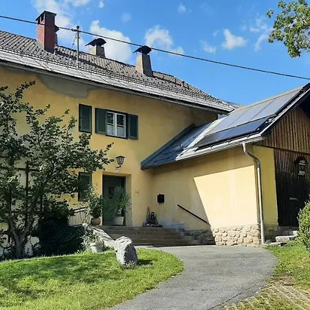 Ferienwohnung Im Alten Zollhaus Dellach  Exterior photo